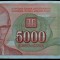Bancnota 5000 DINARI / DINARA - YUGOSLAVIA, anul 1993 * cod 252