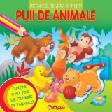 Puii de animale (Detaşezi, te joci şi &icirc;nveţi). Editia a 2-a