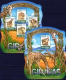 MOZAMBIC 2015 FAUNA GIRAFE