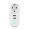 Priza Inteligenta cu USB, 16A, Wireless 2, 4GHz, 2 X USB, Smart Home, Google Home. Amazon Echo, Alexa @SmartWiz smw61