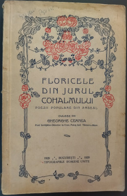 FLORICELE DIN JURUL COHALMULUI CULESE DE GHEORGHE CERNEA/1929/DEDICATIE-AUTOGRAF foto