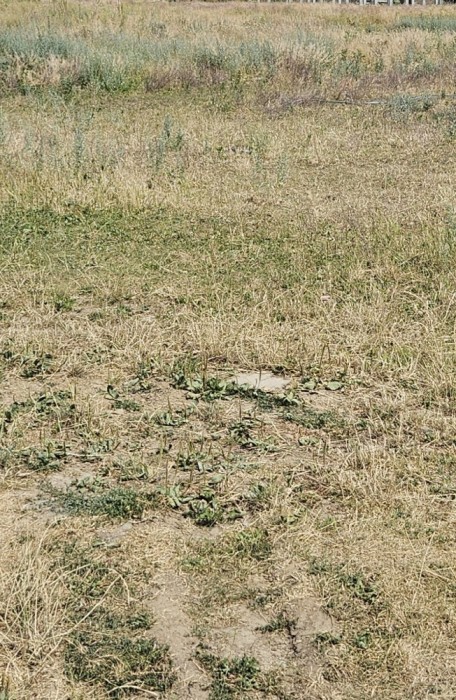Teren intravilan in Gilau