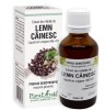 Extract din mladite de lemn cainesc 50ml, Plantextrakt