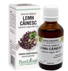 EXTRACT DIN MLADITE DE LEMN CAINESC 50ML