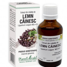 Extract din mladite de lemn cainesc 50ml