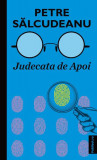 Judecata de apoi - Paperback - Petre Sălcudeanu - Publisol, 2022