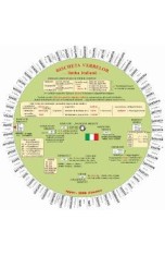 Limba italiana. Discheta verbelor - Camelia Stan, Dragos Stan