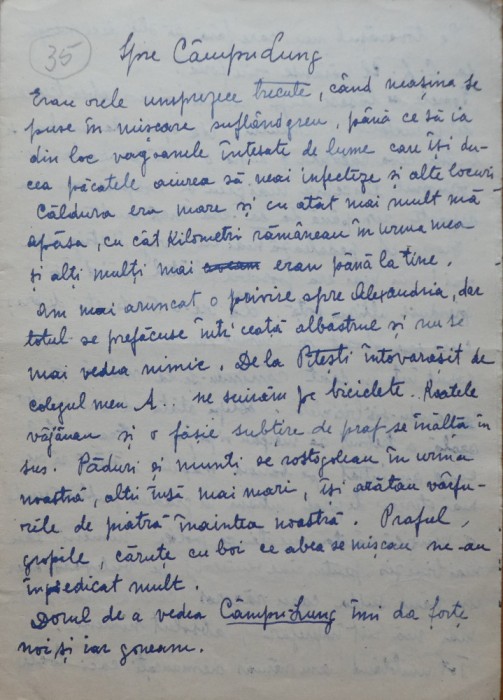Scrisoare S. Luchian catre Cecilia Vasilescu, transcrisa olograf de Laura Cocea