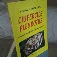 N. Mateescu - Ciupercile pleurotus. O cultura rentabila la indemana tuturor