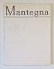 MANTEGNA de ALEXANDRU BALACI , 1980