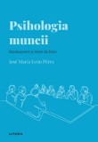 Descopera Psihologia. Psihologia muncii. Randament si stare de bine - Jose Maria Leon Perez, Litera