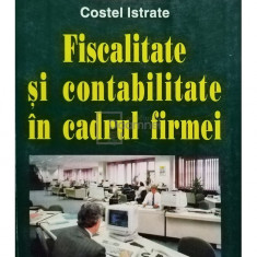 Costel Istrate - Fiscalitate si contabilitate in cadrul firmei (editia 1999)