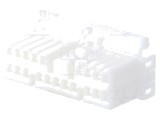 'Conector Plug 20P MLC'