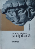 Pe Scurt Despre Sculptura - A. Nanu ,557325, meridiane