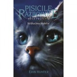 Pisicile Razboinice - Noua profetie. Cartea a X-a: Stralucirea stelelor, Erin Hunter