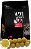 Haldorado - Boilies Max Motion Boilie Long Life 16mm, 800g - Champion corn