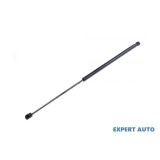 Amortizor capota fata Opel Signum (2003-&gt;)[Z03] #1