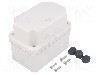 Carcasa ABS, 74mmx116mmx94mm, IP66, SCHNEIDER ELECTRIC - NSYTBS1179H