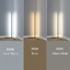 Lampă LED Podea, Model Unic, Selectare Lumină (Alb Rece-Calid-Alb), Culoare Neagră, Bază USB, Dimensiuni 42x2.3x130cm, Oem
