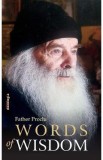 Words of Wisdom Parintele Proclu carte in engleza despre isihasm