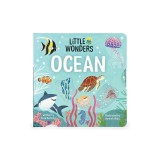 Little Wonders Ocean