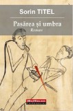 Pasarea si umbra | Sorin Titel, 2020, Hoffman