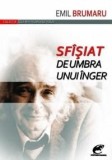 Sfisiat de umbra unui inger | Emil Brumaru, 2019, Litera, Contemporanul