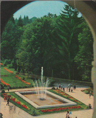 CPIB 15368 - CARTE POSTALA - GOVORA, PARCUL foto