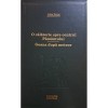Jules Verne - O calatorie spre centrul Pamantului - Goana dupa