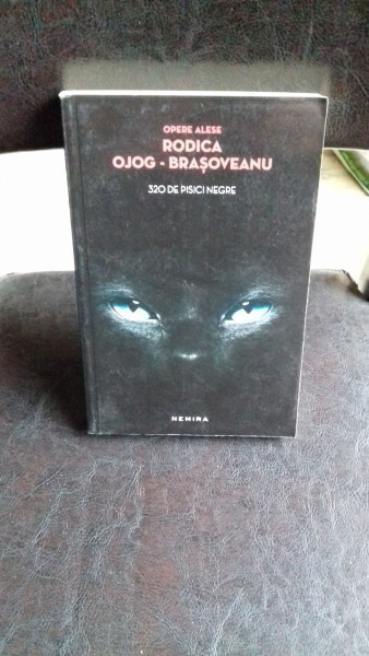 320 DE PISICI NEGRE - RODICA OJOG BRASOVEANU