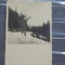 PRCUL CASTELULUI PELES IARNA, CASTELUL IN FUNDAL -1928 - TIP CARTE POSTALA AGFA