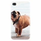 Husa silicon pentru Apple Iphone 4 / 4S, Little Dog Puppy Animal