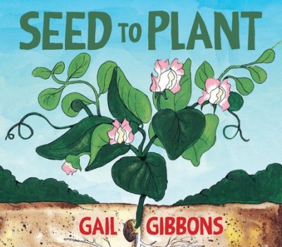 Seed to Plant foto