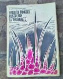 Evoluția funcției musculare la vertebrate de C. Wittenberger.