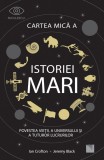 Cartea mica a istoriei mari: Povestea vietii, a Universului si a tuturor lucrurilor - Niculescu
