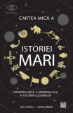 Cartea mică a istoriei mari: Povestea vieții, a Universului și a tuturor lucrurilor, Niculescu