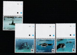 Rarotonga 2016-Fauna,WWF,Testoase,serie 4 valori,cu bordura,sus,MNH,Mi,50-53