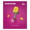 Set constructie Plus-Plus, PLANTE - Floarea soarelui