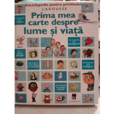 Prima mea carte despre lume si viata