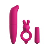 Kit de Pornire cu Vibrații pentru Cupluri Pink
