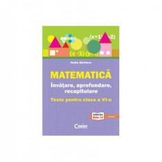 Matematică. Învăţare, aprofundare, recapitulare. teste pentru clasa a VI-a - Paperback brosat - Nadia Bărbieru - Corint