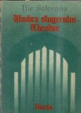 Cumpara ieftin Roman Umbra slugerului Theodor Ilie Salceanu Editura Dacia 1988 Literatura Romana Clasica Proza Stare Buna Coperta Cartonata