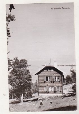 bnk cp Pe muntele Semenic - Vedere - uzata foto