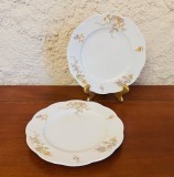 2 FARFURII DIN PORTELAN FIN- MARCAJ CLASSIC ROSE COLLECTION ROSENTHAL GROUP