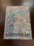 Viorel Marginean - Pictura, desen, obiect
