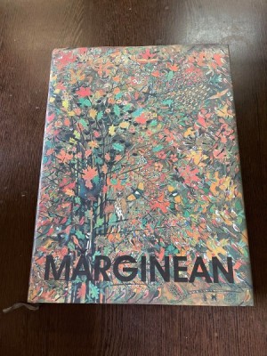 Viorel Marginean - Pictura, desen, obiect foto
