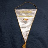 Fanion Fed. Romana de Hochei si Patinaj