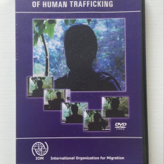 *DD- DVD Testimonies of Victims of Human Traffiking, DVD material IOM in Moldova