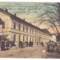 4375 - ORAVITA, Caras-Severin, Market, Romania - old postcard - used - 1917