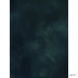 Fundal Studio Foto 1.5X2m PP Backdrop Vinyl Wall Backgrounds LCDJ-02